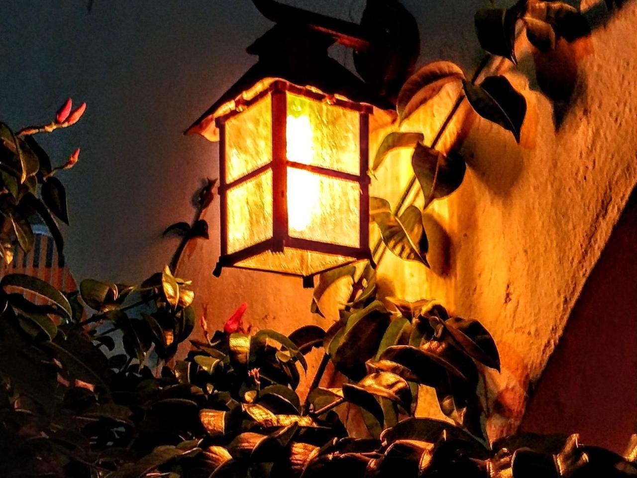 칸쿤 Casa Blanca Boutique & Organic B&B 외부 사진